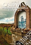 Cammini. Santiago de Compostela. Il cammino portoghese libro