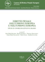 Diritto penale dell'Unione Europea e nell'Unione Europea libro