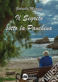 Il segreto sotto la panchina libro