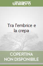 Tra l'embrice e la crepa