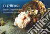 Incontri d'estate: molluschi e crostacei di basso fondo nell'area marina del Parco Riviera di Ulisse libro di Madonna Adriano