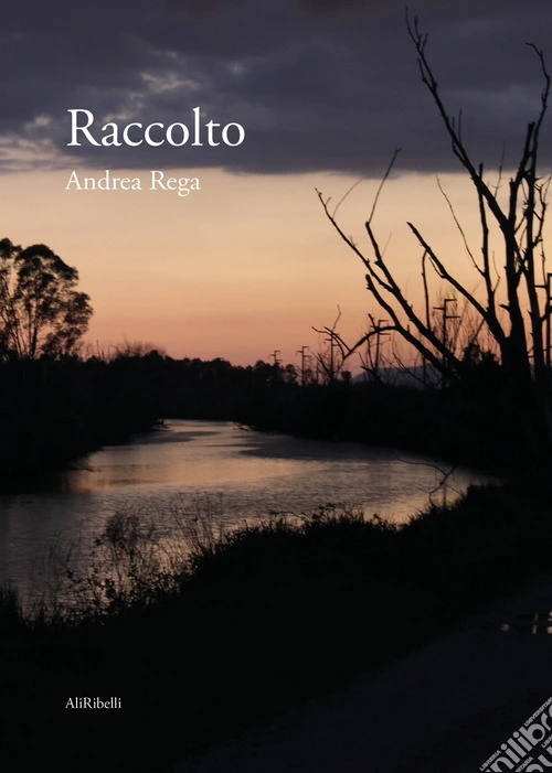 Raccolto