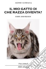 Il mio gatto di che razza diventa? Fidipu and friends