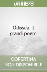 Odissea. I grandi poemi libro