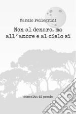 Non al denaro, ma all'amore e al cielo sì libro