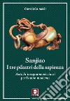 Sanjiao. I tre pilastri della sapienza. Antichi insegnamenti cinesi per l'uomo moderno libro