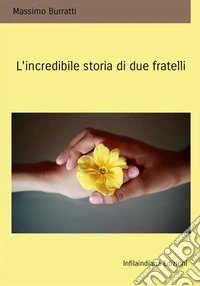 L'incredibile storia di due fratelli libro