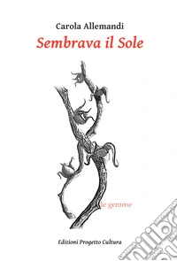 Sembrava il Sole libro