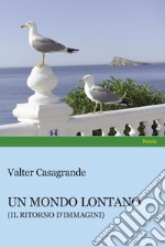 Un mondo lontano libro