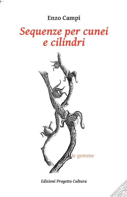 Sequenze per cunei e cilindri