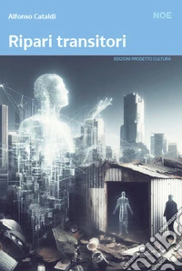 Ripari transitori