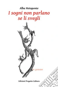 I sogni non parlano se li svegli libro