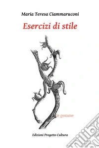 Esercizi di stile libro