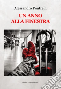 Un anno alla finestra libro