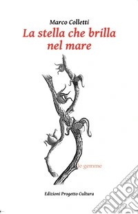 La stella che brilla nel mare libro