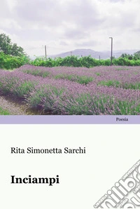 Inciampi libro