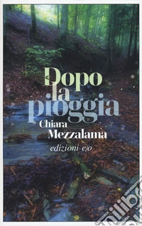 Dopo la pioggia libro