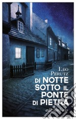 Di notte sotto il ponte di pietra libro