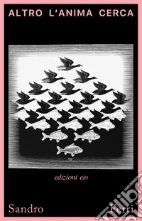 Altro l'anima cerca libro