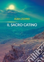 Il sacro catino libro