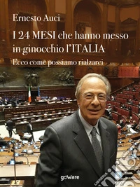 I 24 mesi che hanno messo in ginocchio l'Italia. Ecco come possiamo rialzarci libro