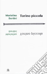 Torino piccola libro