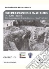 1916. L'anno d'angoscia. Dalla spedizione punitiva alla presa di Gorizia. Le «spallate» sull'Isonzo libro di Coltrinari Massimo Ramaccia Giancarlo