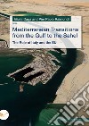 Mediterranean Transitions from the Gulf to the Sahel. The Role of Italy and the EU libro