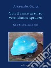 Con il casco azzurro verniciato a spruzzo. Quanta vita, quale vita libro