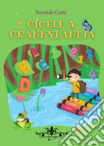 Gioele a Grannylandia libro