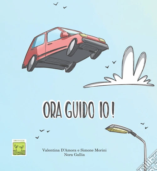 Ora guido io!