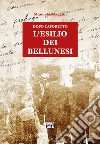 Dopo Caporetto. L'esilio dei bellunesi libro