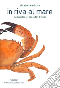 In riva al mare. Guida pratica per esploratori di litorali