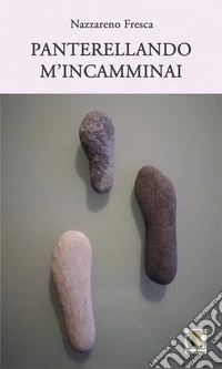 Panterellando m'incamminai libro