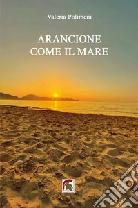 Arancione come il mare libro