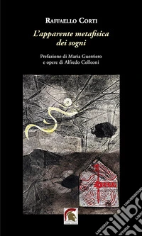 L'apparente metafisica dei sogni libro
