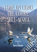 Come un cigno che corre sull'acqua