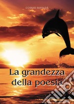 La grandezza della poesia