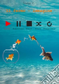 Il fermo - immagine