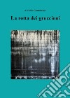 La rotta dei gruccioni libro di Cantamesse Antonio