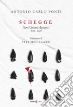 Schegge. Punti spunti appunti 2020-2022 libro