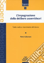 Impugnazione delle delibere assembleari. Tutela reale e risarcimento del danno