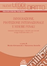 Immigrazione, protezione internazionale e misure penali libro