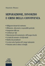 Separazione, divorzio e crisi della convivenza. Con espansione online libro