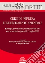 Crisi di impresa e indebitamento aziendale libro