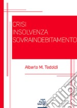 Crisi insolvenza sovraindebitamento libro