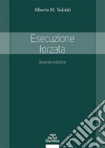 Esecuzione forzata libro