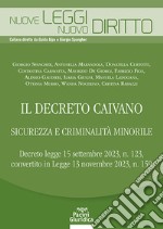 Il decreto Caivano. Sicurezza e criminalità minorile libro