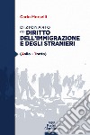 Dizionario del diritto dell'immigrazione e degli stranieri libro