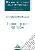 Il curatore speciale del minore libro